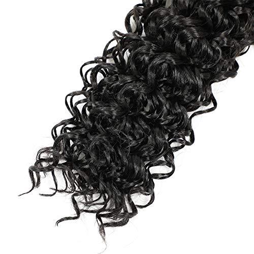 Dansama Beach Curl Water Wave Crochet Synthetic Hair Extensions (14 inch (Pack of 6), 1B, Plus) - Hair Plus ME