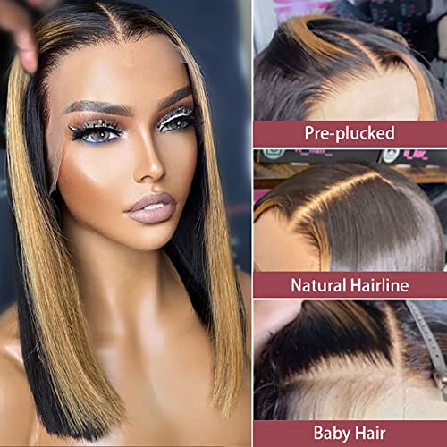 Highlight Skunk Stripe Pre Plucked Hairline 10A Brazilian Virgin Hair Wig - Hair Plus ME
